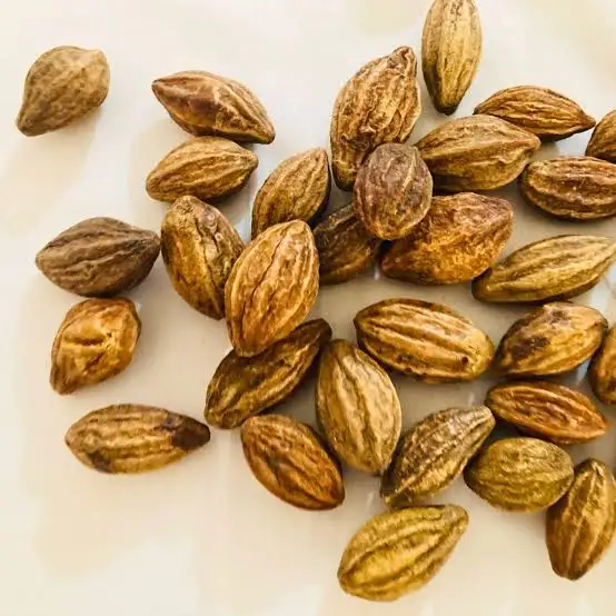 [hari 100] Haritaki (100g)