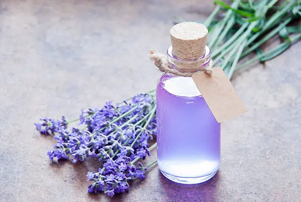 [lav ess50] Lavender essential (50g)