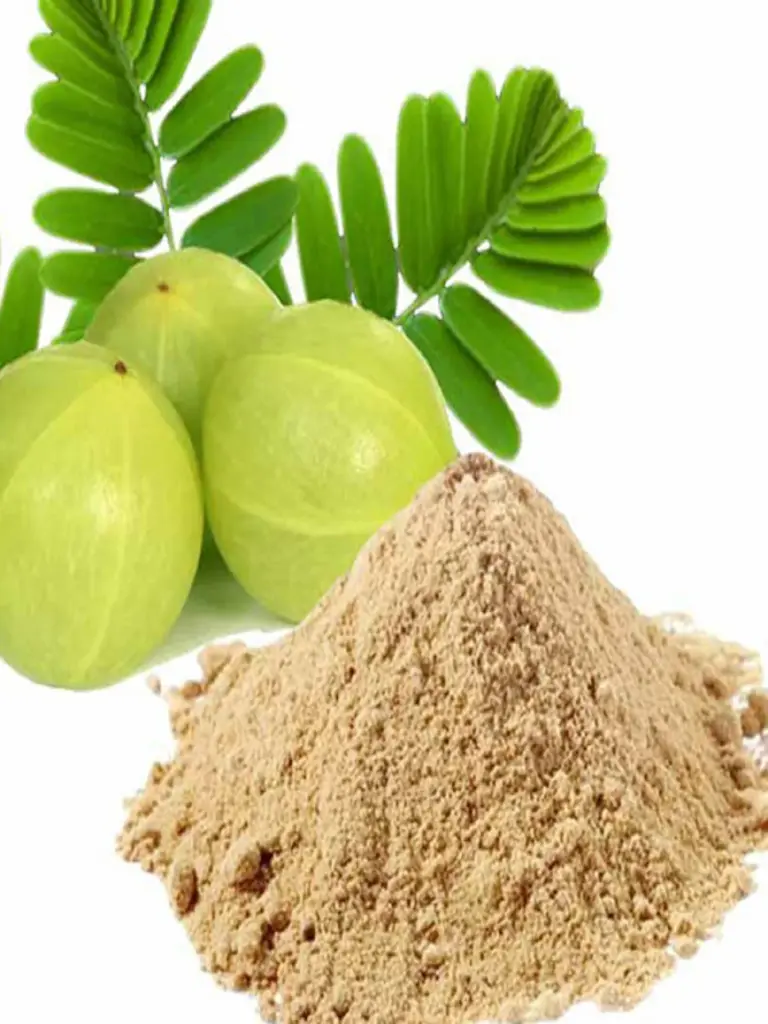 [amla100] Amla Powder (100g)