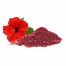 [php100] Pure Hibiscus powder (100g)