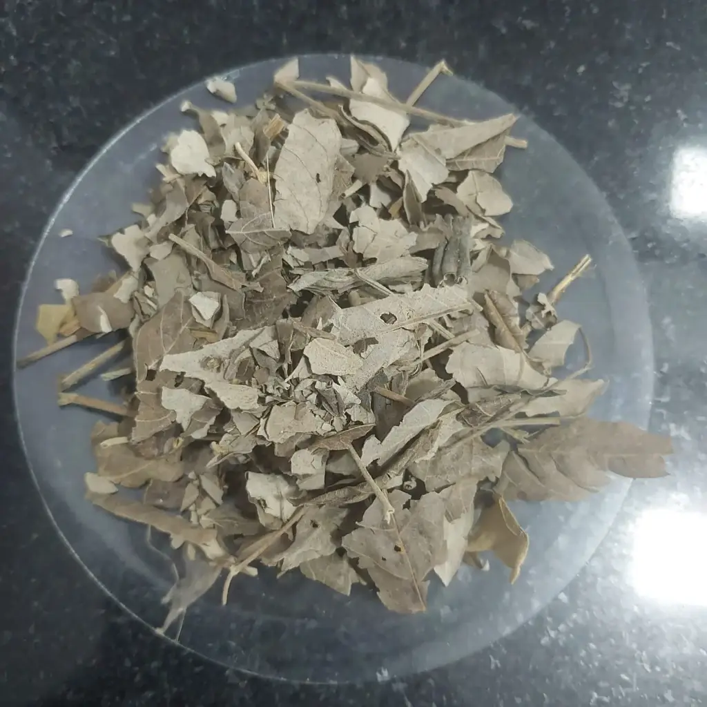 Nirgundi leaf