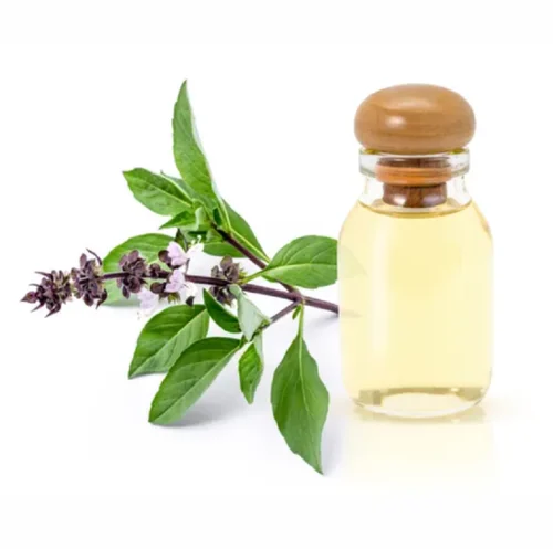 Tulasi Essential Oil (50g)