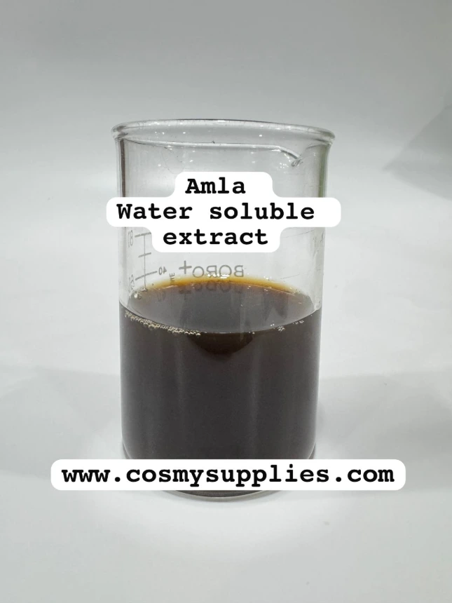 [AEOS100] Amla extract (100g, OIL SOLUBLE)